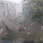 Cod portocaliu de vijelie