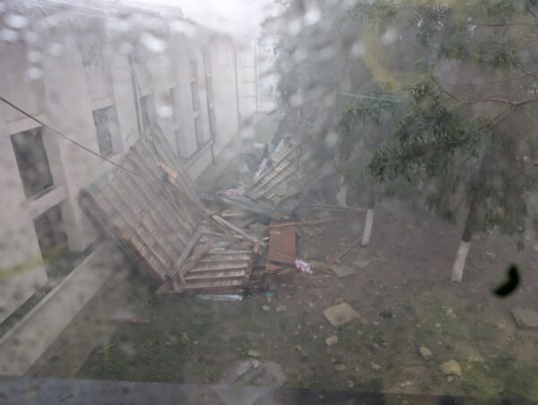 Cod portocaliu de vijelie