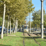 Se reabilitează șinele de tramvai de pe Bulevardul Theodor Pallady. Traficul din zonă va fi reorganizat. FOTO: TPBI