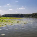 ILFOV | Lacul Snagov, transformat în poligon: Jandarmeria face exerciții cu muniție de manevră, în cadrul unui exercițiu internațional