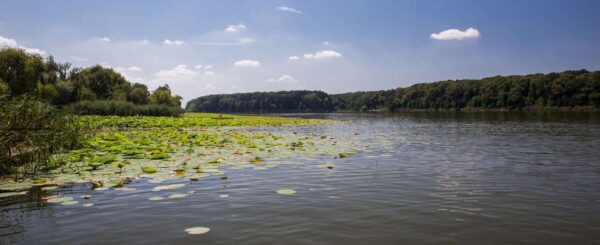 ILFOV | Lacul Snagov, transformat în poligon: Jandarmeria face exerciții cu muniție de manevră, în cadrul unui exercițiu internațional