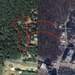 „Harta mutilării” din Pădurea Băneasa