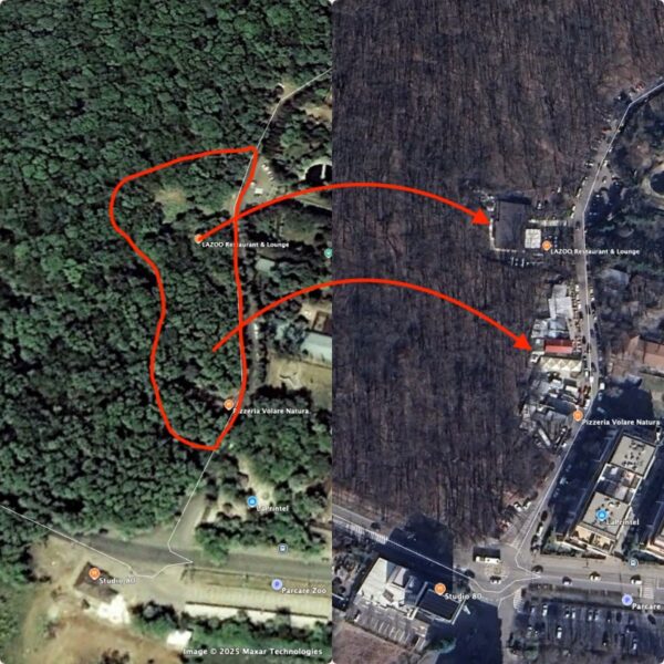 „Harta mutilării” din Pădurea Băneasa