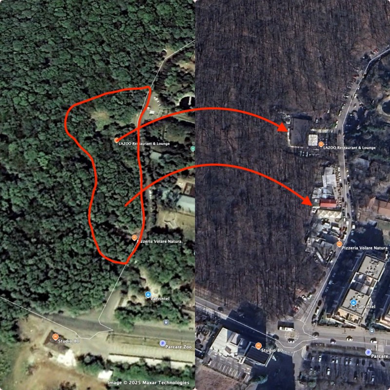 „Harta mutilării” din Pădurea Băneasa