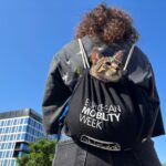 Traficul se restricționează, în acest weekend, pe Bulevardul Gheorghe Duca. „Mobility for Everyone” are loc la intrarea în parcul Regele Mihai I. FOTO: TPBI