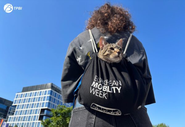 Traficul se restricționează, în acest weekend, pe Bulevardul Gheorghe Duca. „Mobility for Everyone” are loc la intrarea în parcul Regele Mihai I. FOTO: TPBI