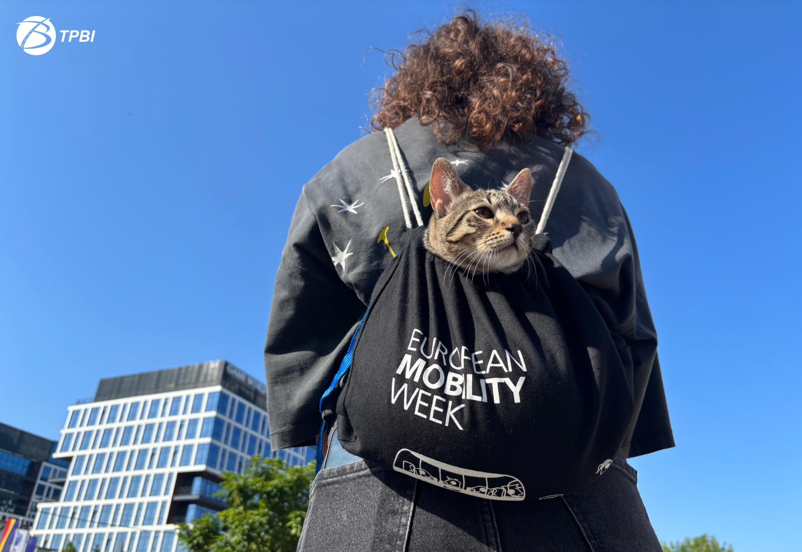 Traficul se restricționează, în acest weekend, pe Bulevardul Gheorghe Duca. „Mobility for Everyone” are loc la intrarea în parcul Regele Mihai I. FOTO: TPBI