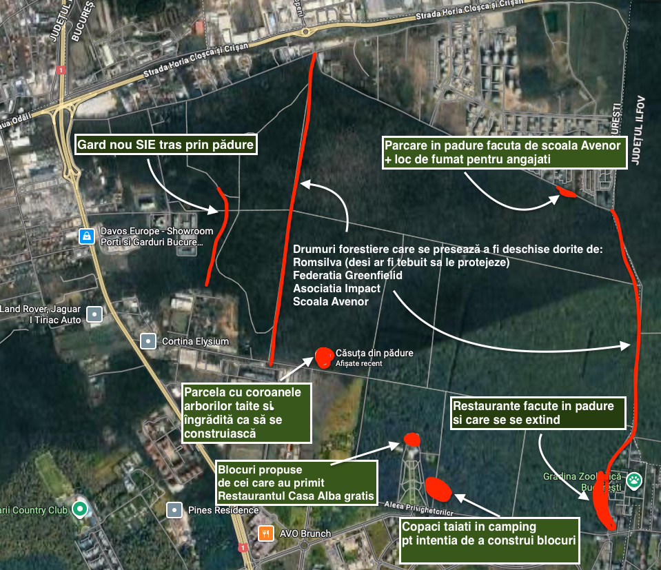 „Harta mutilării” din Pădurea Băneasa