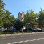 Sector 1 | Mai multe zone pot ajunge în grija cetățenilor prin programul „Adoptă un spațiu verde” | FOTO: ecomunitate.primariasector1.ro