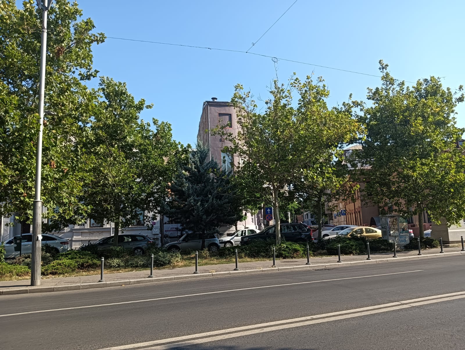 Sector 1 | Mai multe zone pot ajunge în grija cetățenilor prin programul „Adoptă un spațiu verde” | FOTO: ecomunitate.primariasector1.ro