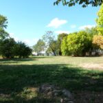 parc pe Bulevardul Laminorului
