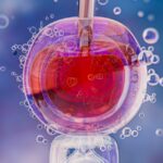 Programul care oferă ajutor pentru FIV