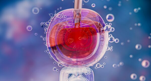 Programul care oferă ajutor pentru FIV