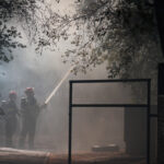 Incendiu la Grădina Zoologică. Flăcările s-au întins pe circa 2.000 de metri pătrați