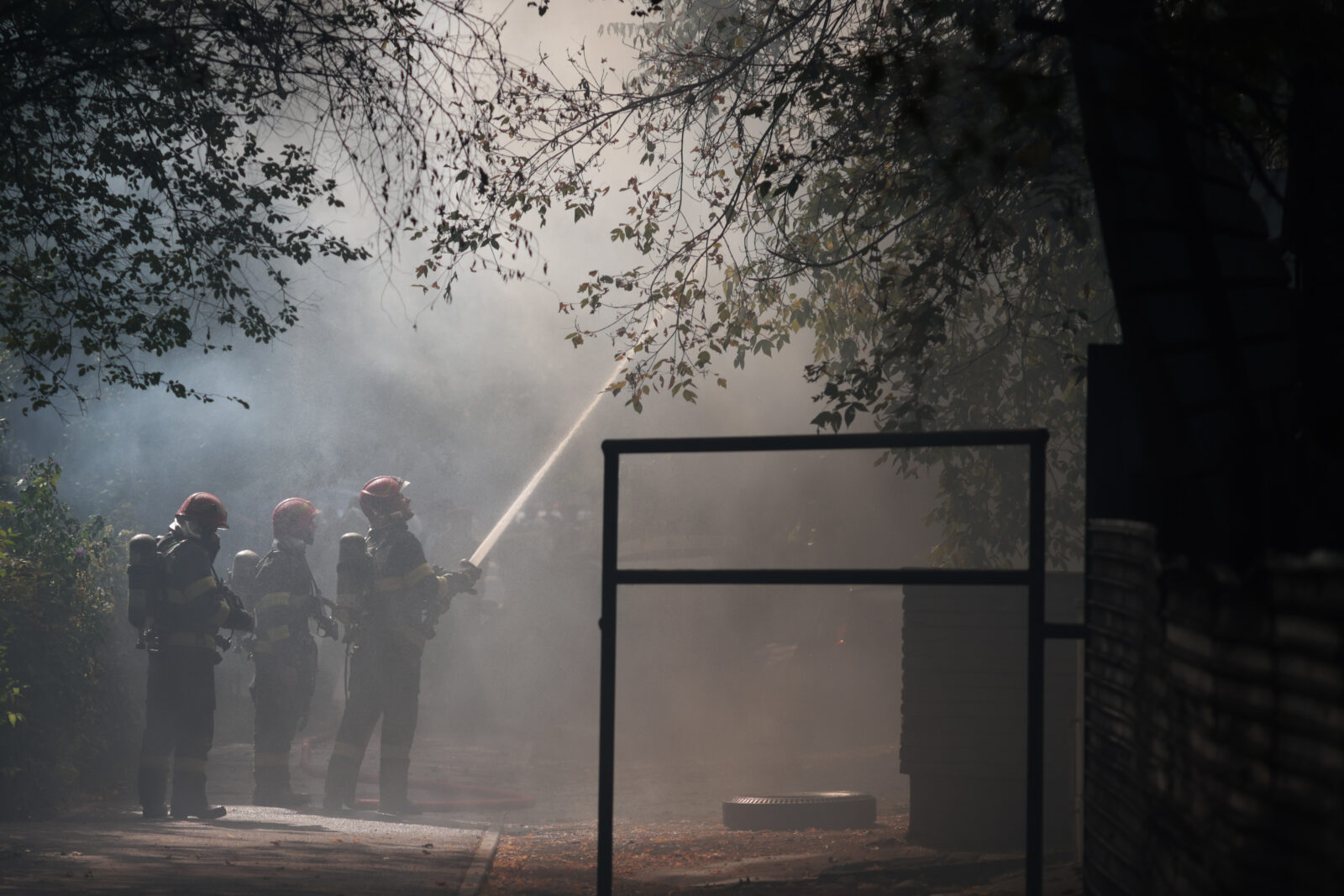 Incendiu la Grădina Zoologică. Flăcările s-au întins pe circa 2.000 de metri pătrați