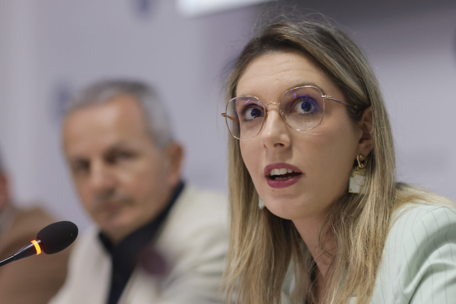 Diana Buzoianu, Ministrul Mediului: „Putem să trăim în București fără Pădurea Băneasa doar în condiții de cuptor cu microunde” | FOTO: Inquam Photos/ George Calin