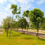 Lucrări de extindere a Parcului Tudor Arghezi