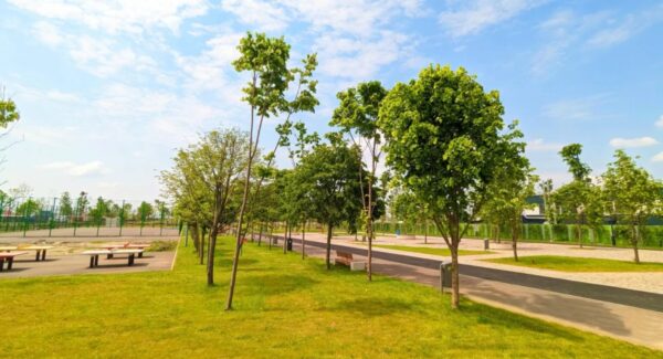 Lucrări de extindere a Parcului Tudor Arghezi