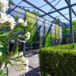 Serele exotice din Parcul Drumul Taberei