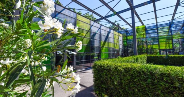 Serele exotice din Parcul Drumul Taberei