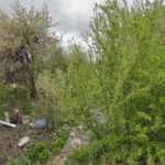 Terenul propus pentru construirea unor noi unități de învățământ în Sectorul 3. Foto: Google Maps