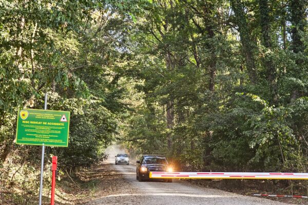 George Tuță: Pădurea Băneasa trebuie să devină arie protejată. Greenfield, fără noi autorizații