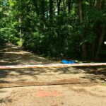 accesul auto în Pădurea Băseasa