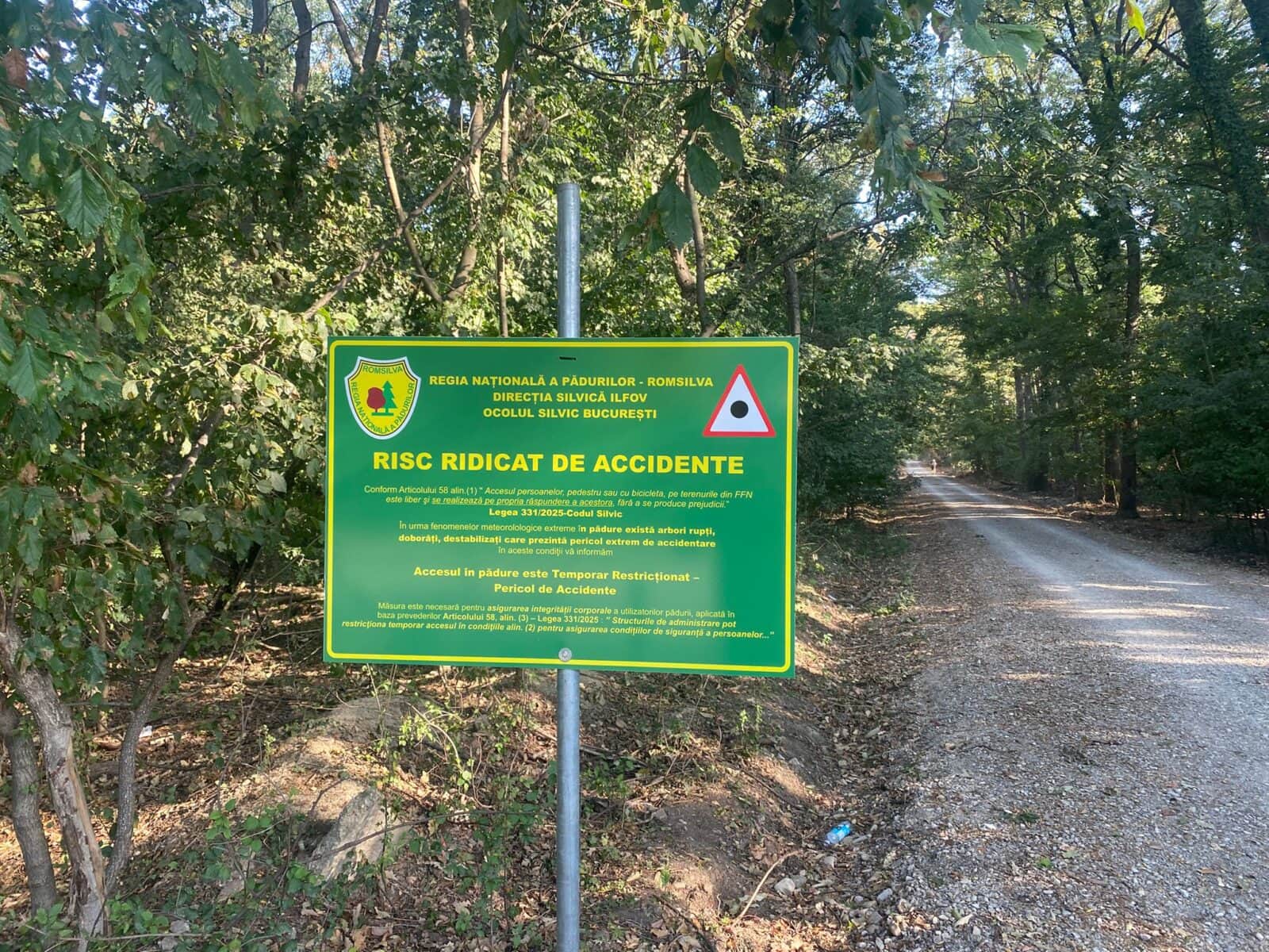 drumul forestier prin Pădurea Băneasa