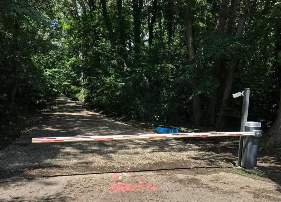 Drumul prin Pădurea Băneasa