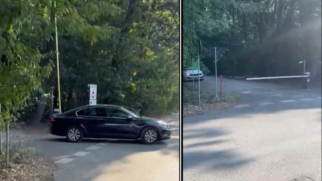 Federația Greenfield