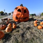 West Side Hallo Fest 2025