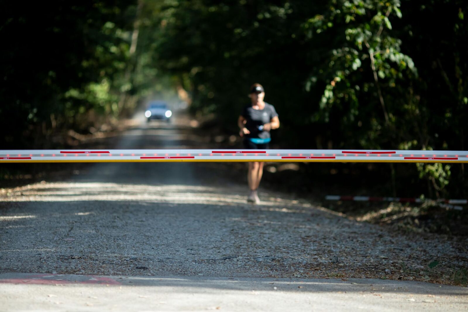 circulația auto prin Pădurea Băneasa