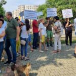 Reconfigurarea Aleii cu Ceas