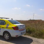 terenuri pline de ambrozie