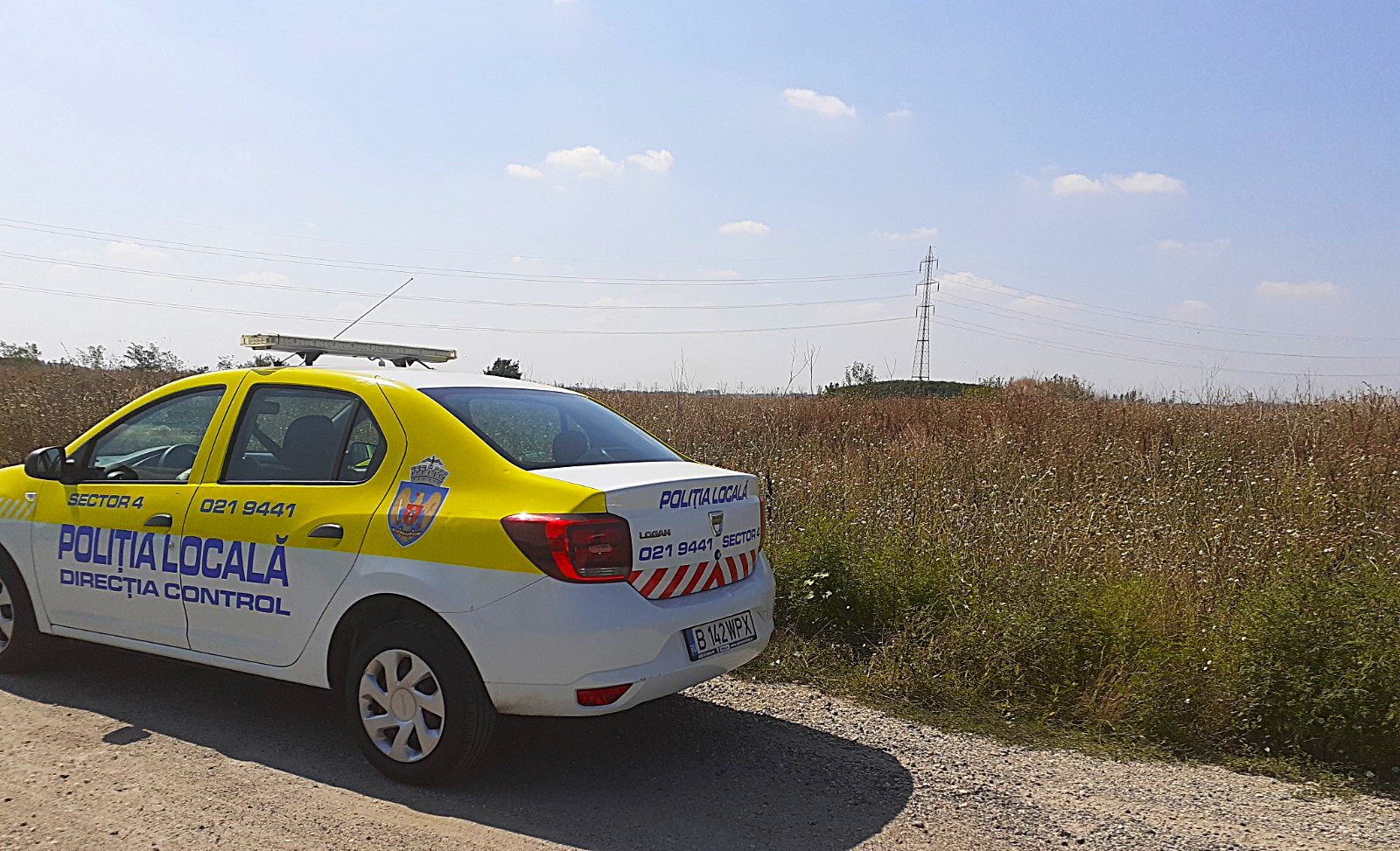 terenuri pline de ambrozie