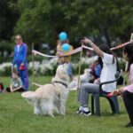 WOOF Fest – Festivalul lui Bobiță, în Parcul Kiseleff. FOTO: PS1