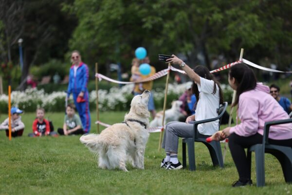 WOOF Fest – Festivalul lui Bobiță, în Parcul Kiseleff. FOTO: PS1