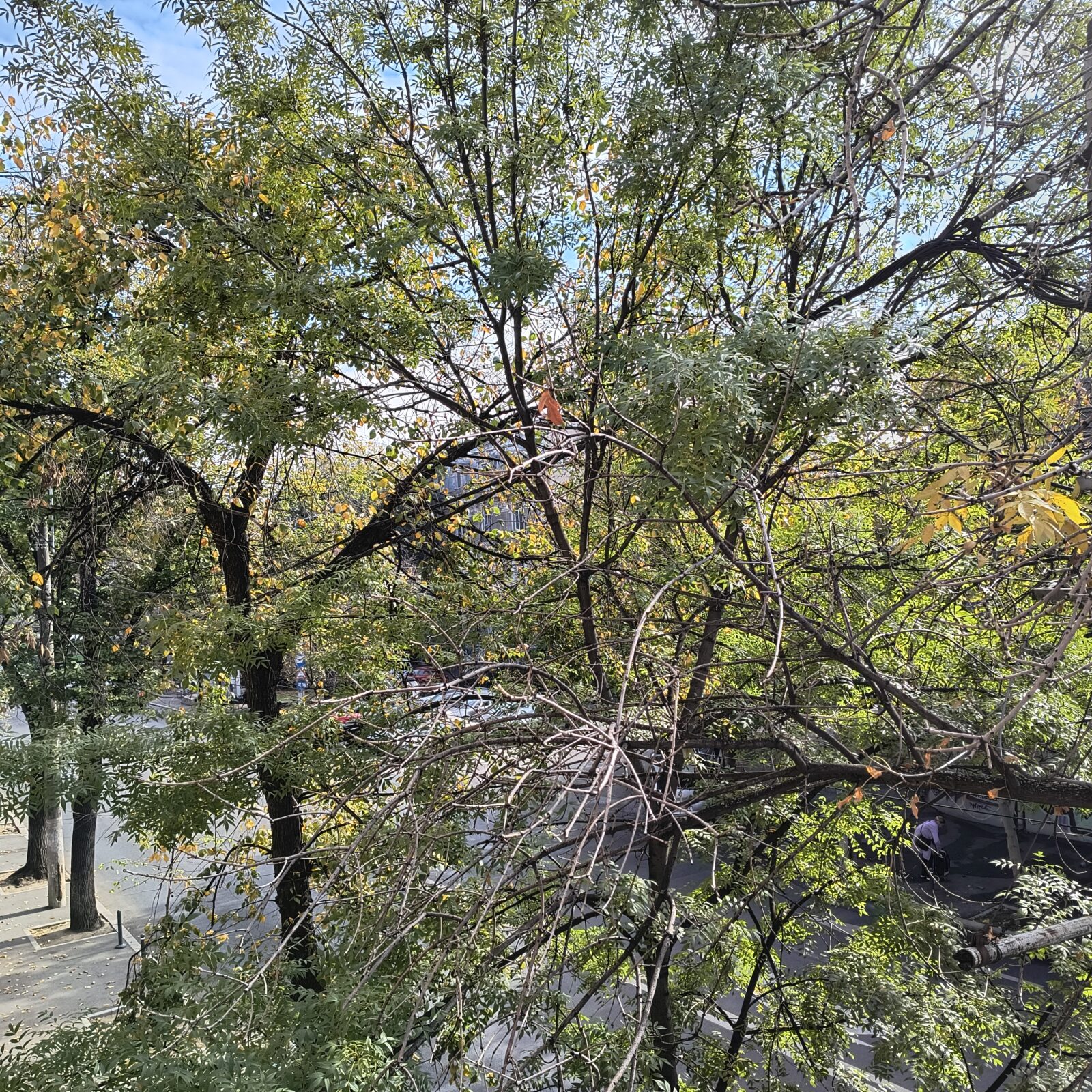 METEO | Vremea se încălzește, în weekend, la București. Joi și vineri temperaturile rămân scăzute. FOTO: BdB