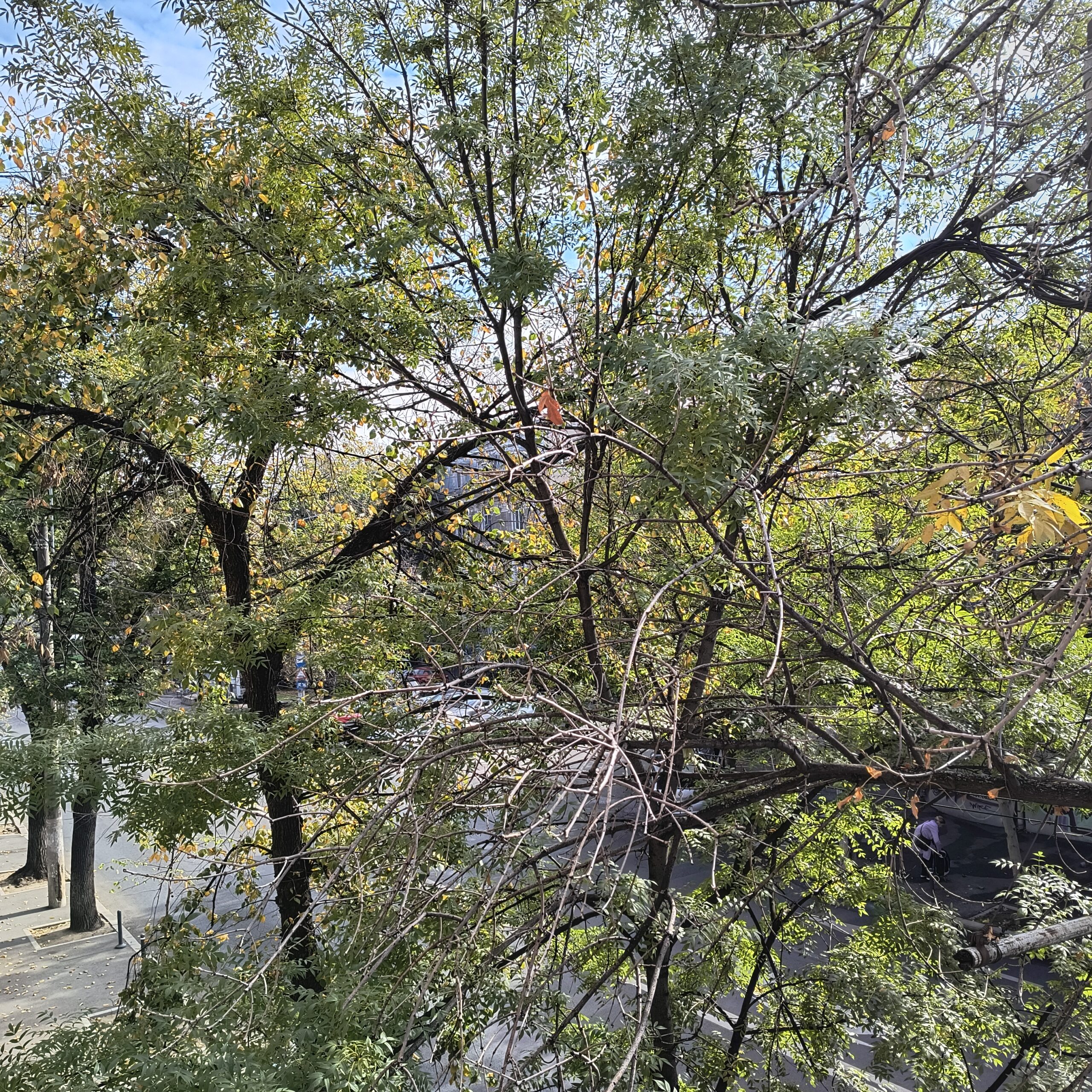 METEO | Vremea se încălzește, în weekend, la București. Joi și vineri temperaturile rămân scăzute