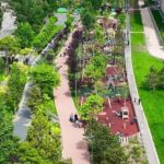 Manualul neoficial al primarilor „gospodari" care confundă natura cu mobilierul urban