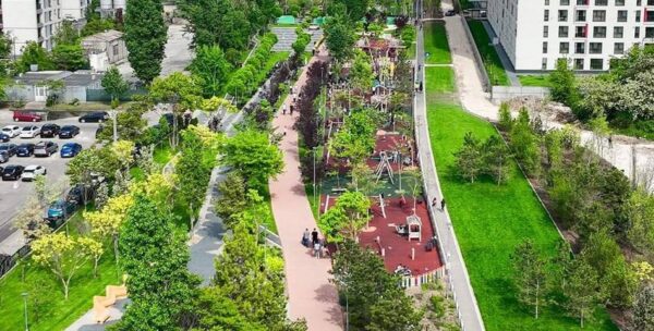 Manualul neoficial al primarilor „gospodari" care confundă natura cu mobilierul urban
