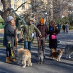 Casting pentru căței, organizat în București, pentru campania filmului „Efectul Pufi”