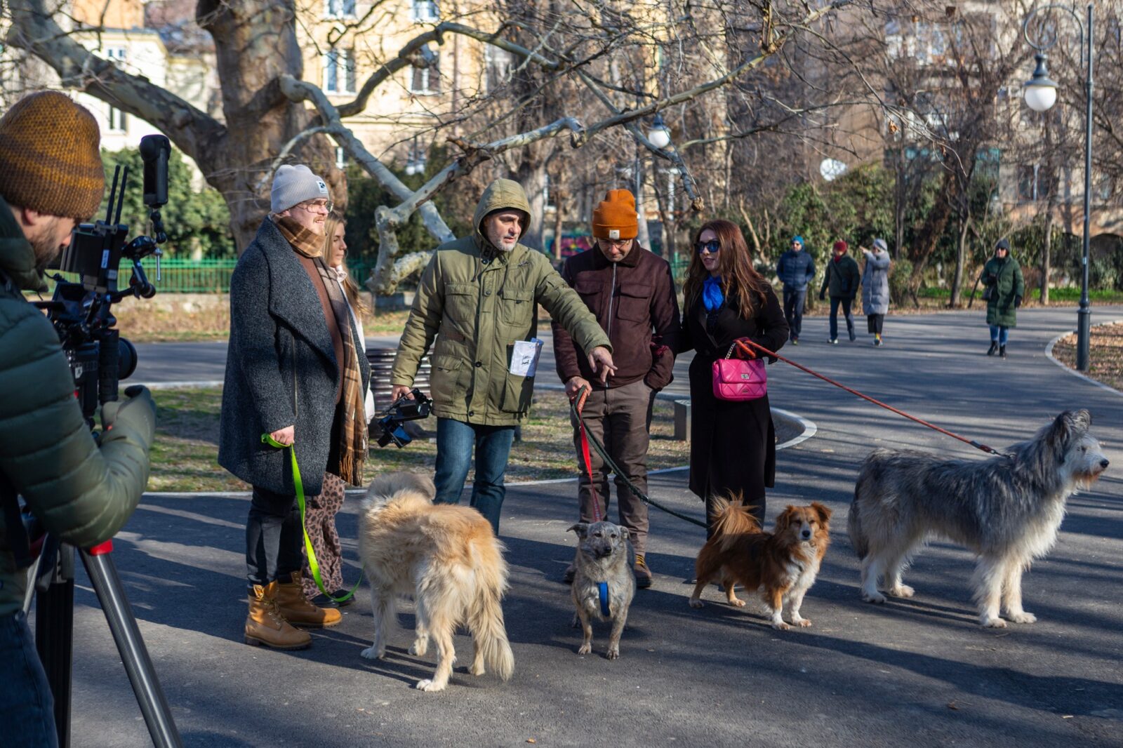 Casting pentru căței, organizat în București, pentru campania filmului „Efectul Pufi”