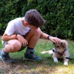 Când are loc ultimul târg de adopții în aer liber, din acest an. Foto: FB/ ASPA București