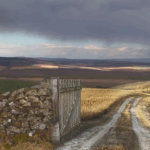 Apelul unui regizor moldovean, la București