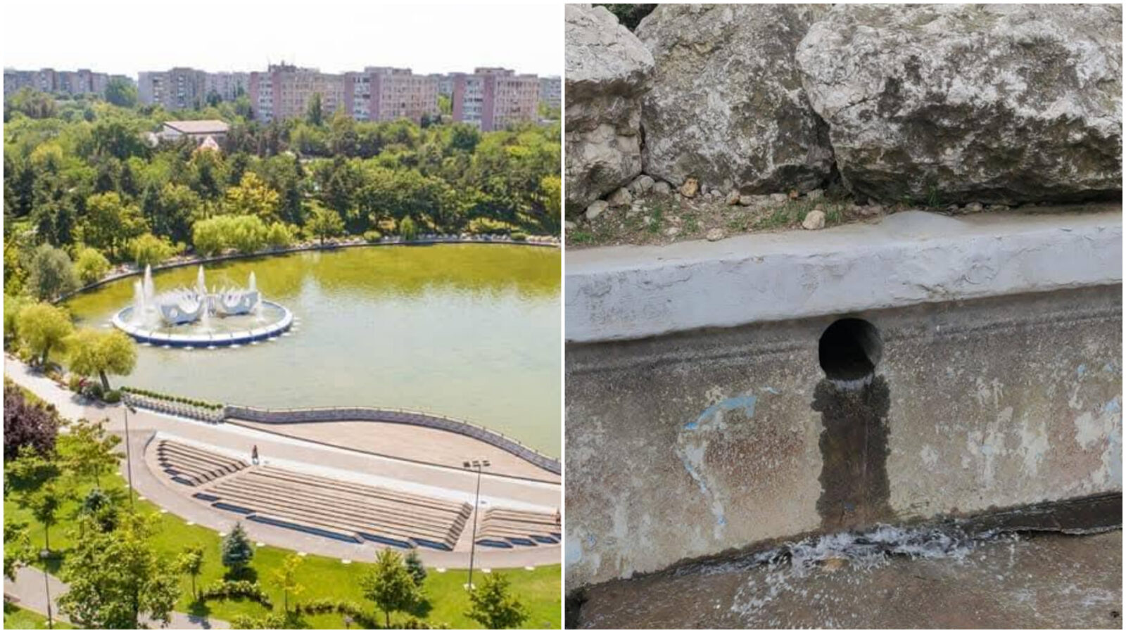 Golirea lacului din Parcul Drumul Taberei