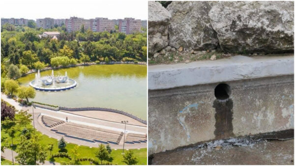 Golirea lacului din Parcul Drumul Taberei