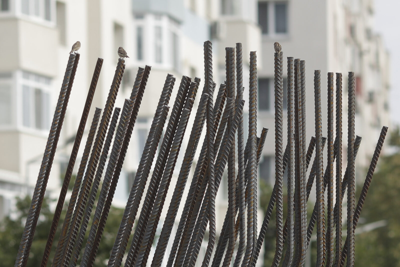 „Modelul digital de transport” al Comisiei Tehnice de Circulație rămâne controversat și neclar. OAR București: „Pare o instanță ascunsă”.