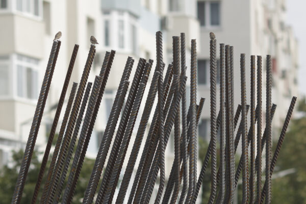 „Modelul digital de transport” al Comisiei Tehnice de Circulație rămâne controversat și neclar. OAR București: „Pare o instanță ascunsă”.