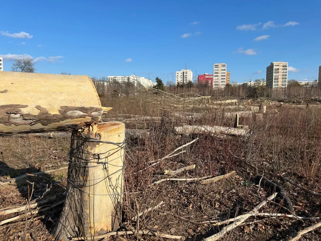 Cine este moștenitorul Mariei Cocoru, fosta proprietară a zonei retrocedate din IOR. Dosarele suspendate după deces au fost repuse pe rol. Foto: Arhivă via Cătălin Anghel-Dimache